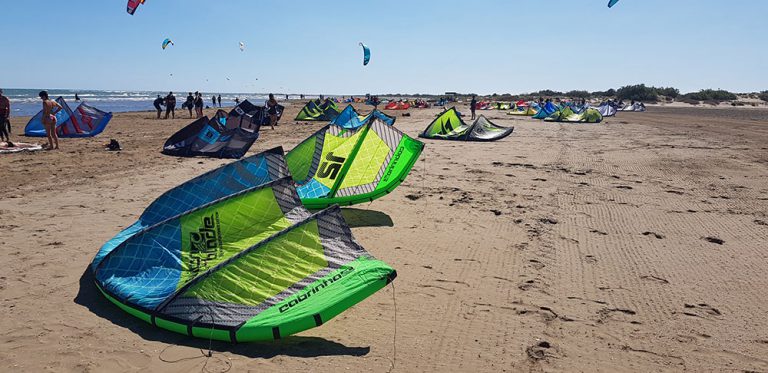 todo el mundo animado llega el viento a riumar